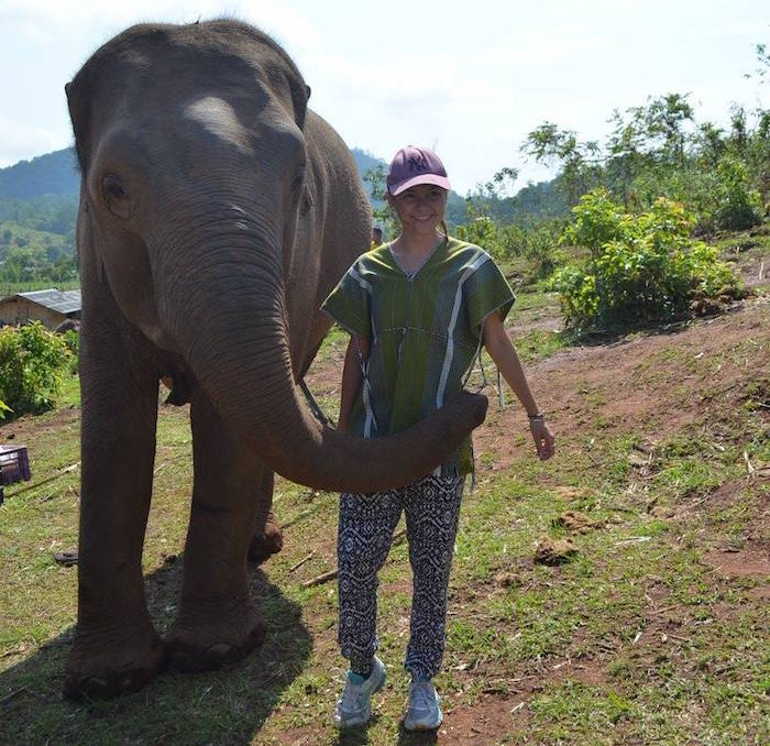 Pourquoi aller au Dumbo Elephant Spa ?