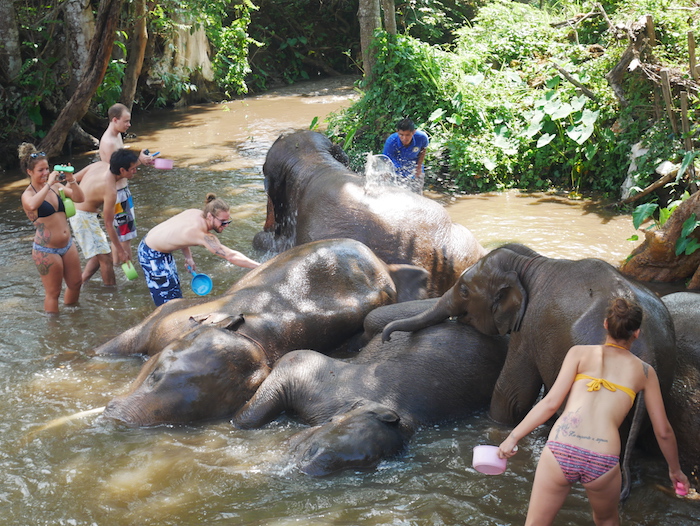 Les éléphants aiment se baigner pour se rafraîchir !
