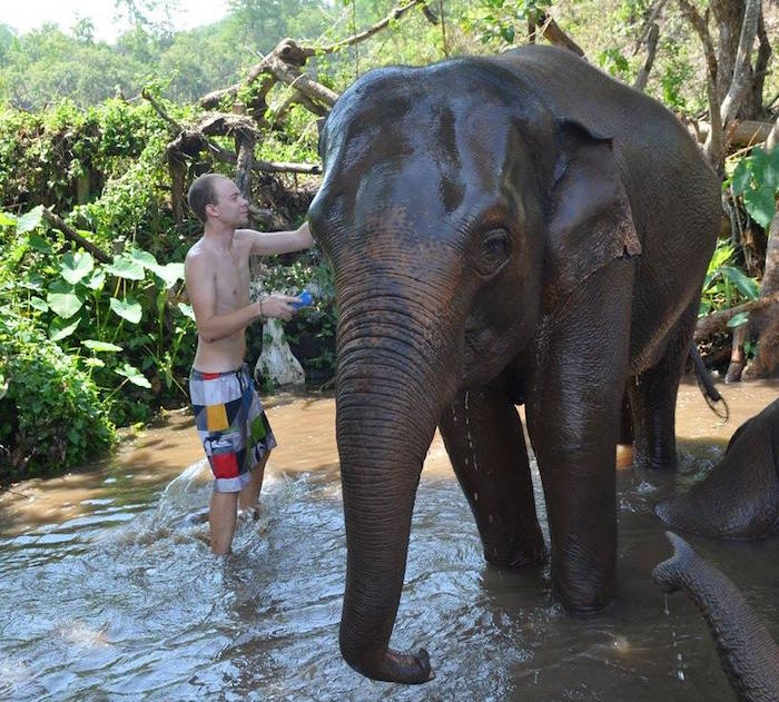 Comment laver un éléphant ?