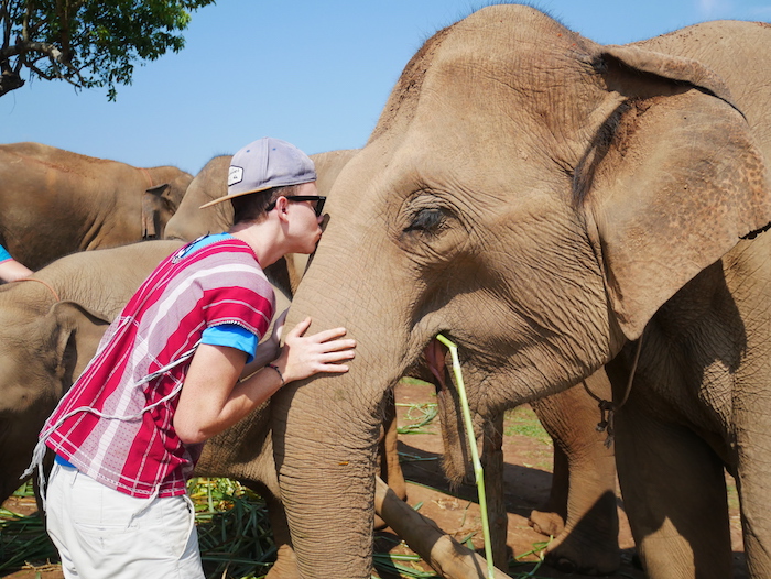 Comment être sûr du bon traitement des éléphants ?