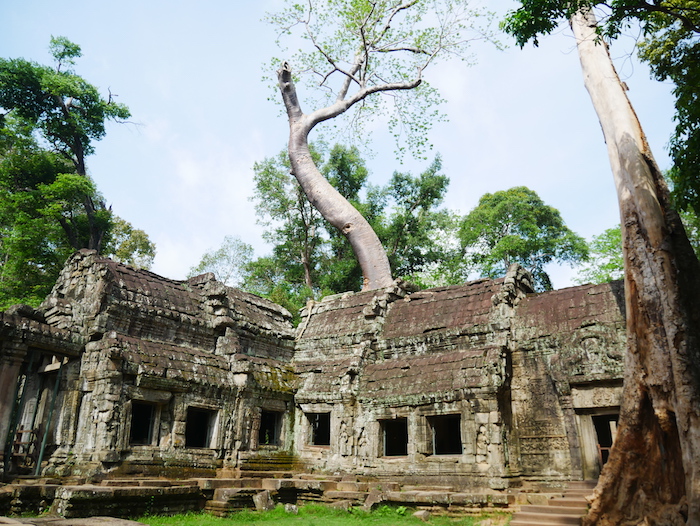 Combien coûte le pass 1 journée pour Angkor Vat ?