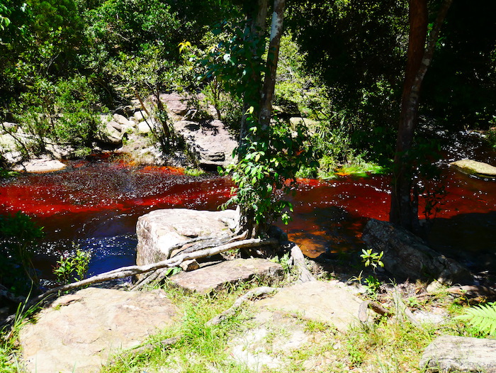 D'où vient la couleur de l'eau des cascades de Bokor ? 