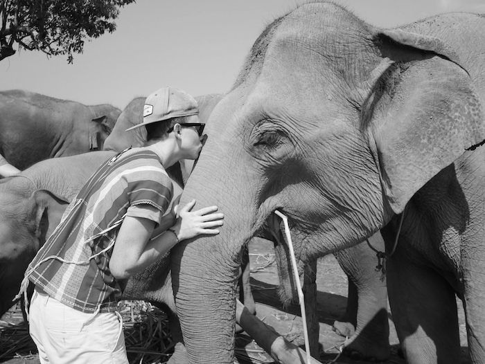 Où se trouve le Dumbo Elephant Spa ? 
