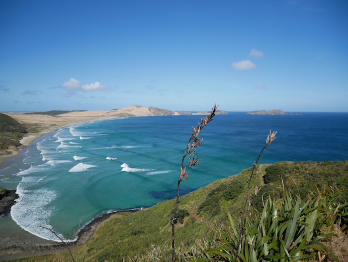 Pourquoi faire un road trip en Nouvelle-Zélande ? 
