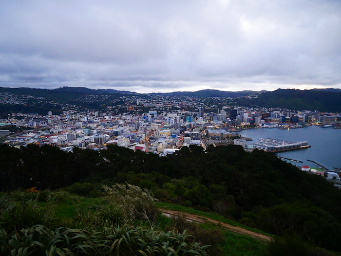 On voit toute la ville de Wellington !