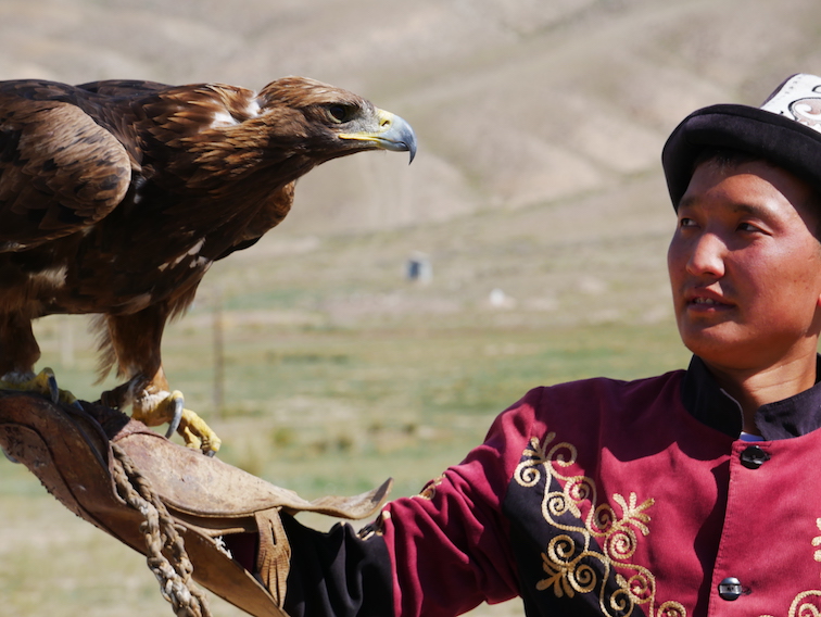 Que font les kirghizes avec un aigle chasseur ? 