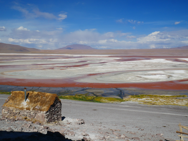 Laguna colorada en Bolivie. 