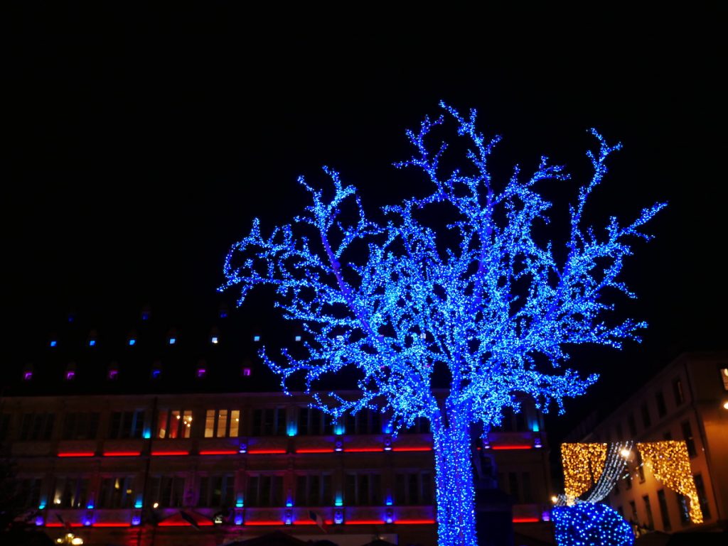 L'arbre bleu, place Gutenberg. 